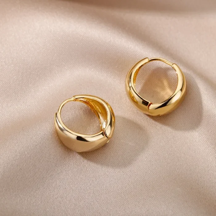 Stainless Steel Earring for Women Heart Zircon Gold Color Hoop Earrings Vintage Waterproof Ear Piercing Jewelry Accessories Gift - Image 20