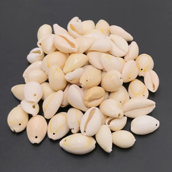 50pcs White DIY Sea Shell Cowrie Cowry Charm Beads Beach Jewelry Accessories for Women Sea Shells Earrings Bracelet Necklace diy (Copy) - Image 4