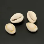 50pcs White DIY Sea Shell Cowrie Cowry Charm Beads Beach Jewelry Accessories for Women Sea Shells Earrings Bracelet Necklace diy (Copy) - Image 3