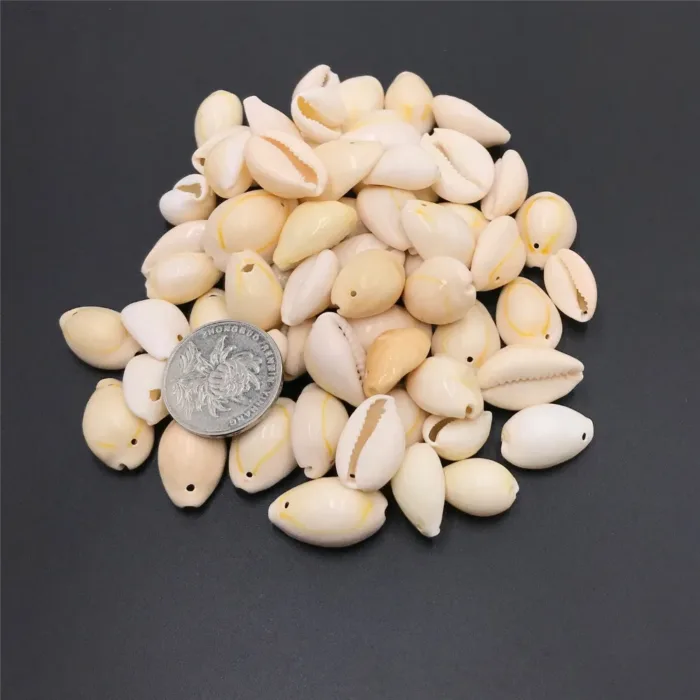 50pcs White DIY Sea Shell Cowrie Cowry Charm Beads Beach Jewelry Accessories for Women Sea Shells Earrings Bracelet Necklace diy (Copy) - Image 5
