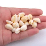 50pcs White DIY Sea Shell Cowrie Cowry Charm Beads Beach Jewelry Accessories for Women Sea Shells Earrings Bracelet Necklace diy (Copy) - Image 6