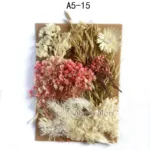 Home Decoration Natural Dried Pressed Flowers For Handmade Crafts wers Leaves Bulk For DIY Candles Epoxy Resin - Image 12