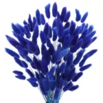 Bunny Tails Dried Flowers,White Natural Dry Pampas,Eternal Rabbit Tails Grass for Vase,Arrangement Wedding,Home,Hotel Decoration - Image 8