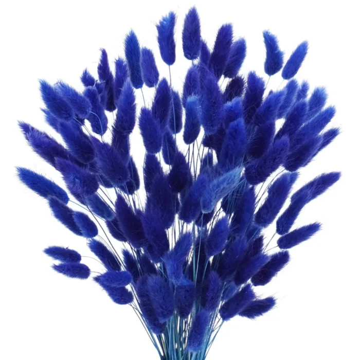 Bunny Tails Dried Flowers,White Natural Dry Pampas,Eternal Rabbit Tails Grass for Vase,Arrangement Wedding,Home,Hotel Decoration - Image 8