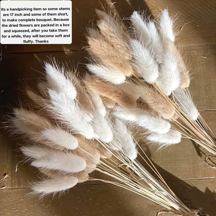 Bunny Tails Dried Flowers,White Natural Dry Pampas,Eternal Rabbit Tails Grass for Vase,Arrangement Wedding,Home,Hotel Decoration - Image 7