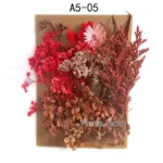 Home Decoration Natural Dried Pressed Flowers For Handmade Crafts wers Leaves Bulk For DIY Candles Epoxy Resin - Image 15