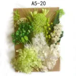 Home Decoration Natural Dried Pressed Flowers For Handmade Crafts wers Leaves Bulk For DIY Candles Epoxy Resin - Image 14