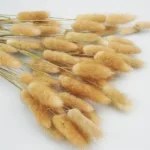 Bunny Tails Dried Flowers,White Natural Dry Pampas,Eternal Rabbit Tails Grass for Vase,Arrangement Wedding,Home,Hotel Decoration - Image 5