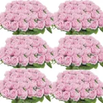 50 Pcs Artificial Rose Flower Silk Roses Bouquet Real Looking Fake Roses for Home Wedding Centerpieces Party Decorations - Image 14