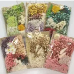 Home Decoration Natural Dried Pressed Flowers For Handmade Crafts wers Leaves Bulk For DIY Candles Epoxy Resin - Image 5