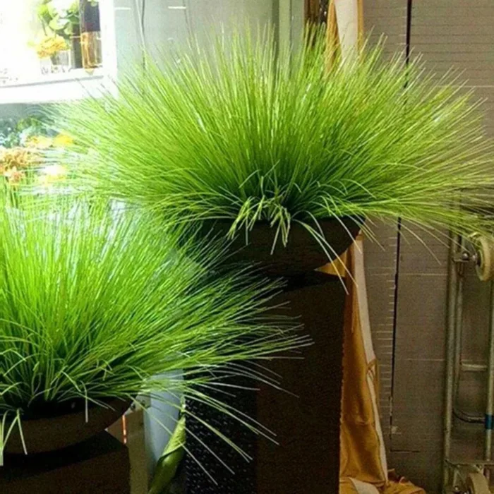 65-70CM Artificial Onion Grass Bunch Flower Arrangement Accessories Reed Flower Wedding Decoration Garden Party Home Deco Plants - Image 2