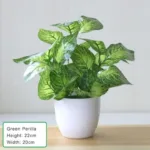 Artificial Plants Bonsai Fake Plants Home Decoration Accessories Plant Plant Pot Office Decoration Living Room Decoration - Image 7