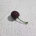 Fake cherries cherry model simulation fruit fruit shop decoration cabinet display shooting props kindergarten teaching aids - Image 6