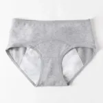 Mid Waist Cotton Panties for Menstruation Menstrual Panties Leak Proof Women Underwear Period Briefs Female Physiological Pants - Image 3