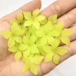 20pcs/bag 25mm*5mm Matte Bauhinia Flower Acrylic Beads Caps Jewelry Making DIY For Earrings Hair Accessories Necklaces - Image 12