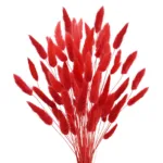 Bunny Tails Dried Flowers,White Natural Dry Pampas,Eternal Rabbit Tails Grass for Vase,Arrangement Wedding,Home,Hotel Decoration - Image 14