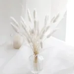 Bunny Tails Dried Flowers,White Natural Dry Pampas,Eternal Rabbit Tails Grass for Vase,Arrangement Wedding,Home,Hotel Decoration - Image 2