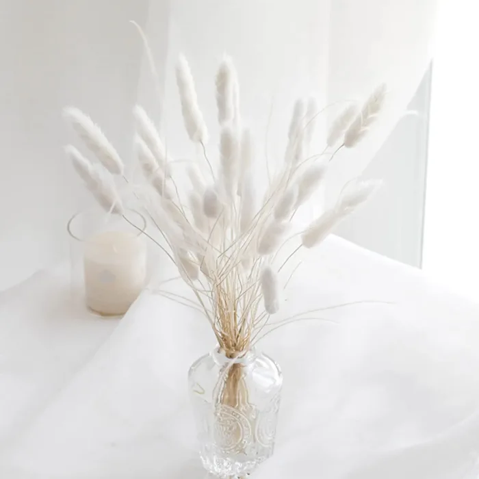 Bunny Tails Dried Flowers,White Natural Dry Pampas,Eternal Rabbit Tails Grass for Vase,Arrangement Wedding,Home,Hotel Decoration - Image 2