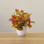 Artificial Plants Bonsai Fake Plants Home Decoration Accessories Plant Plant Pot Office Decoration Living Room Decoration - Image 2