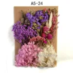 Home Decoration Natural Dried Pressed Flowers For Handmade Crafts wers Leaves Bulk For DIY Candles Epoxy Resin - Image 13