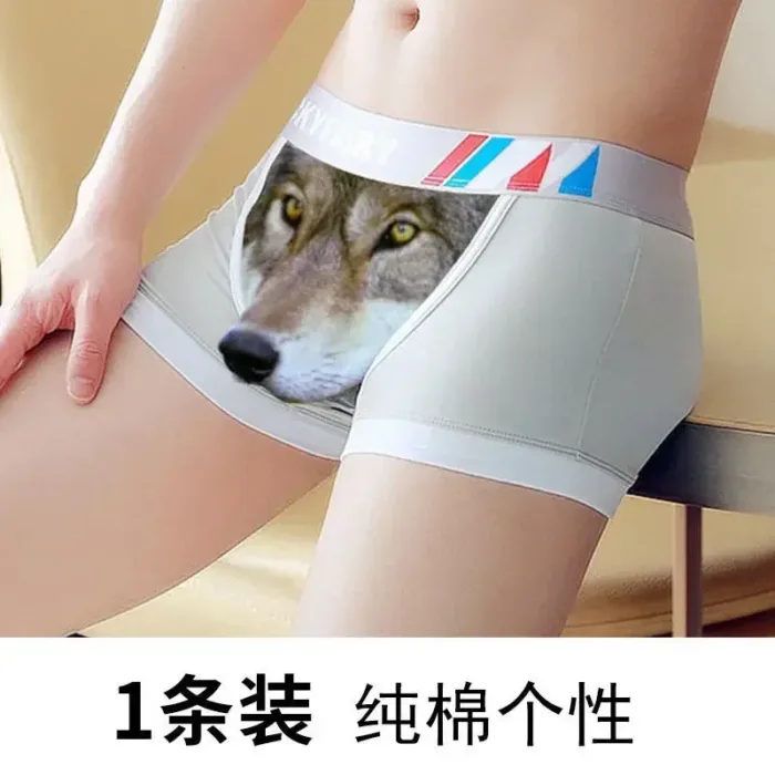 Boxer Men Underpants Modal Men's Wolf Panties Cartoon Animal Funny Boxers U Pouch Bulge Underwear Men  Lingerie Gift - Image 18
