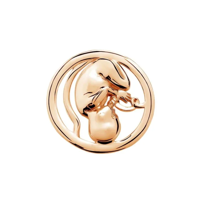 Hanreshe Obstetrics Baby Brooch Pins Medical Silver Plated Maternity Doctor Nurse Lapel Badge Jewelry Gift Decoration - Image 3
