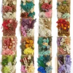 Home Decoration Natural Dried Pressed Flowers For Handmade Crafts wers Leaves Bulk For DIY Candles Epoxy Resin