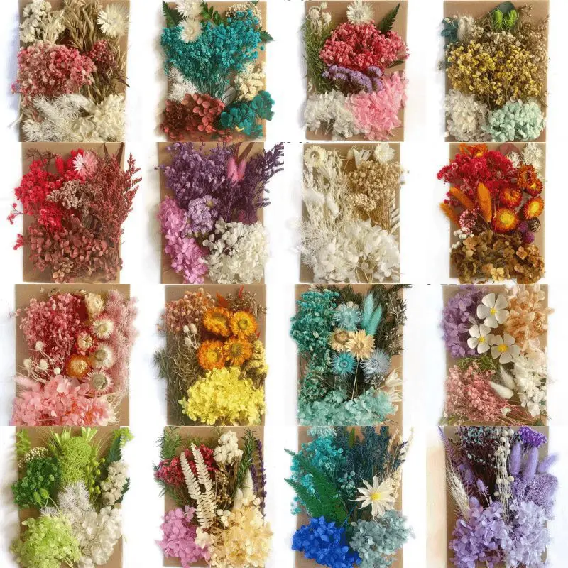 S7397ee7a1ccc41b7af3795109f0856102.webp Home Decoration Natural Dried Pressed Flowers For Handmade Crafts wers Leaves Bulk For DIY Candles Epoxy Resin - Image 1