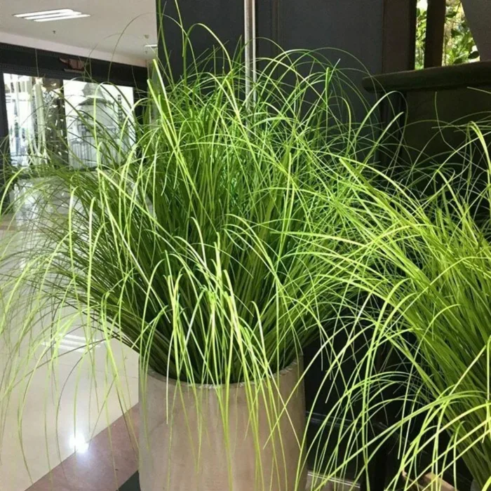 65-70CM Artificial Onion Grass Bunch Flower Arrangement Accessories Reed Flower Wedding Decoration Garden Party Home Deco Plants - Image 3