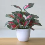 Artificial Plants Bonsai Fake Plants Home Decoration Accessories Plant Plant Pot Office Decoration Living Room Decoration - Image 4