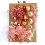 Home Decoration Natural Dried Pressed Flowers For Handmade Crafts wers Leaves Bulk For DIY Candles Epoxy Resin - Image 10