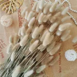Bunny Tails Dried Flowers,White Natural Dry Pampas,Eternal Rabbit Tails Grass for Vase,Arrangement Wedding,Home,Hotel Decoration - Image 10
