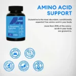 L-Glutamine Capsules Replenish Transporter Supplements Amino Acid Improve Brain Function Support Workout Muscle Recovery - Image 3