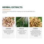 Hand Ringworm Beriberi Fungus Spray Hand and Foot Skin Care Anti Itch Spray 20ml Itching Disinfect Personal Health Care - Image 5