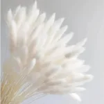 Bunny Tails Dried Flowers,White Natural Dry Pampas,Eternal Rabbit Tails Grass for Vase,Arrangement Wedding,Home,Hotel Decoration