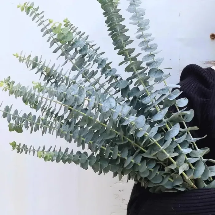 12/10PCS Eucalyptus Leaves Bunch Branch Artificial Plastic Plants Leaves Green Stems Wedding Faux Fake Flowers Cake DIY Decor - Image 2