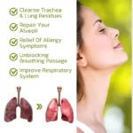 Lung Cleanse Drops Lungs Breath Detox Health Cleaner Respiratory System Support Lung Cleaning Herbal Extract Care 30ml - Image 4