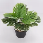 Artificial Plants Green Palm Leaves Monstera Home Garden Living Room Bedroom Balcony Decoration Tropical Plastic Fake Plant Long - Image 2