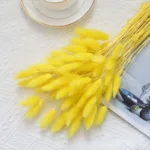 Bunny Tails Dried Flowers,White Natural Dry Pampas,Eternal Rabbit Tails Grass for Vase,Arrangement Wedding,Home,Hotel Decoration - Image 15