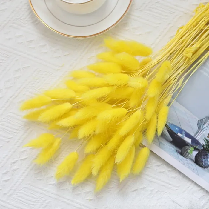 Bunny Tails Dried Flowers,White Natural Dry Pampas,Eternal Rabbit Tails Grass for Vase,Arrangement Wedding,Home,Hotel Decoration - Image 15