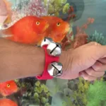 Orff Instruments Wrist Bells Metal Hand Foot Dance Waist Bells Learning Toys for Kids Girls Musical Instruments Free Shipping - Image 5