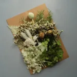 1 Bag Artificial Plants Dried Real Flowers Preserved Materials Epoxy Resin Candles DIY Floral Materials Hydrangea Set Flowers - Image 11