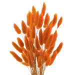 Bunny Tails Dried Flowers,White Natural Dry Pampas,Eternal Rabbit Tails Grass for Vase,Arrangement Wedding,Home,Hotel Decoration - Image 11