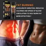 Slimming Cream Belly Fat Burner Sweat Enhancer Burning Weight Loss Creams Abdomen Abdominal Muscle Men Women belleza y salud - Image 2