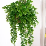 1pc Artificial ivy Plant Plastic Leaf Wedding outdoor Christmas Home Balcony Garden arch wall Office Diy Hot sale Decoration - Image 4
