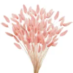 Bunny Tails Dried Flowers,White Natural Dry Pampas,Eternal Rabbit Tails Grass for Vase,Arrangement Wedding,Home,Hotel Decoration - Image 12