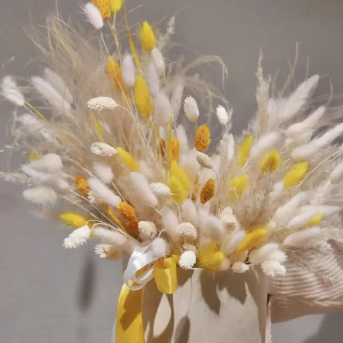 Bunny Tails Dried Flowers,White Natural Dry Pampas,Eternal Rabbit Tails Grass for Vase,Arrangement Wedding,Home,Hotel Decoration - Image 3