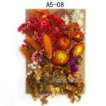 Home Decoration Natural Dried Pressed Flowers For Handmade Crafts wers Leaves Bulk For DIY Candles Epoxy Resin - Image 7