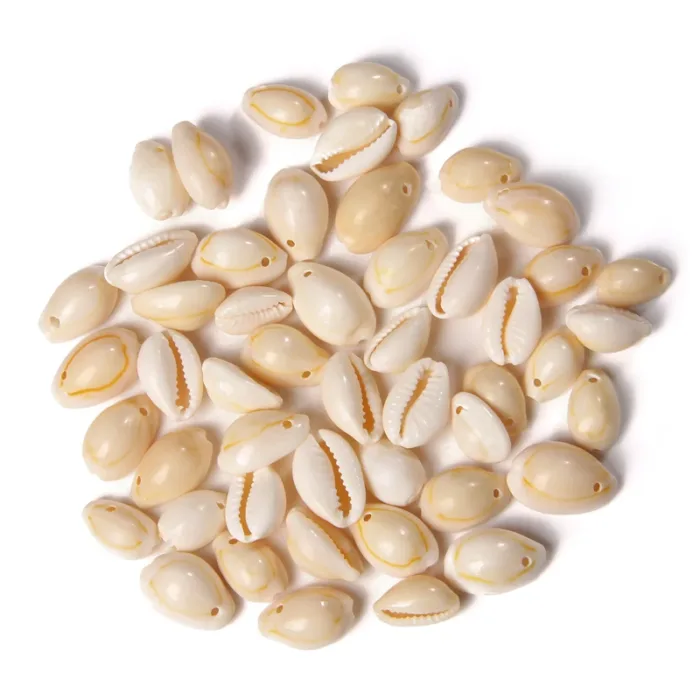 50pcs White DIY Sea Shell Cowrie Cowry Charm Beads Beach Jewelry Accessories for Women Sea Shells Earrings Bracelet Necklace diy (Copy) - Image 1