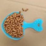 Cute Candy Colored Pet Food Shovel Solid Pet Food Spoon Dog Cat Shovels Small Animals Feeding & Watering Supplies Pet Supplies - Image 6